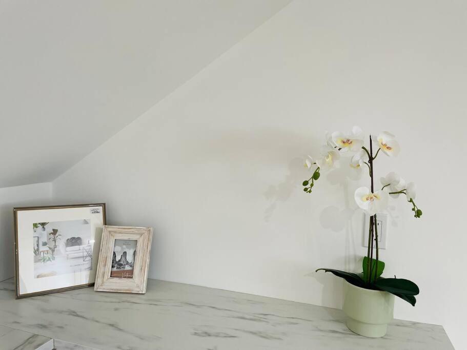 Stylish Cozy One Bedroom Studio With Free Parking ビクトリア エクステリア 写真