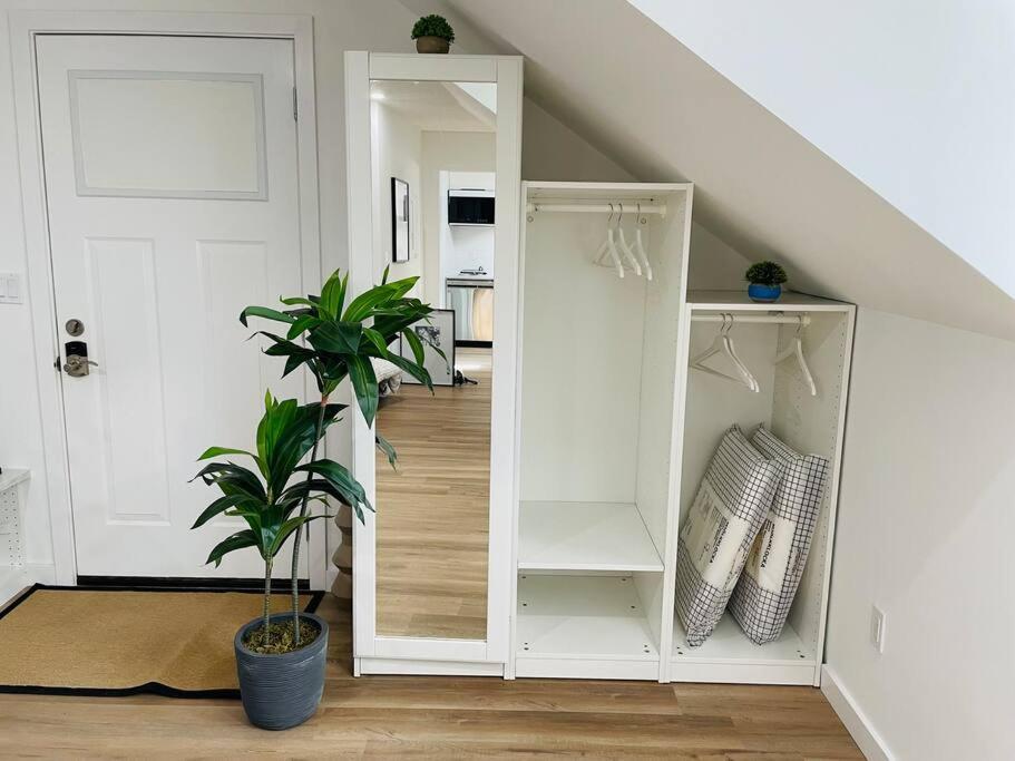 Stylish Cozy One Bedroom Studio With Free Parking ビクトリア エクステリア 写真